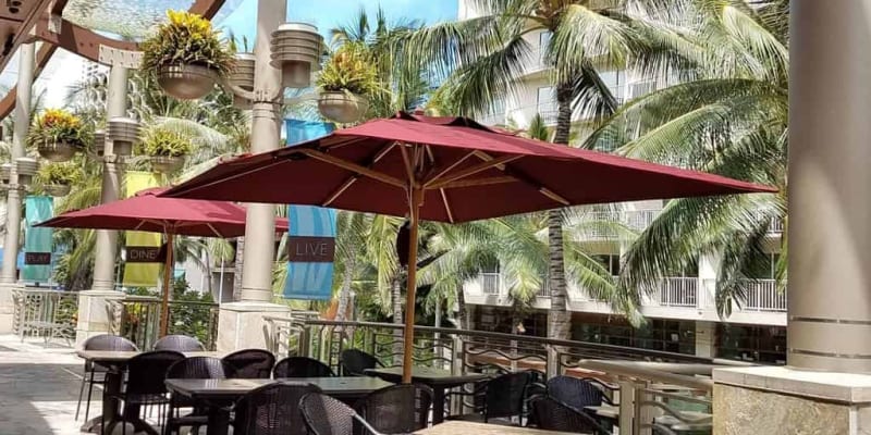 KAIWA graded up their Terrace area..!