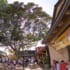 Hawaii’s Melting Pot of Sandwiches