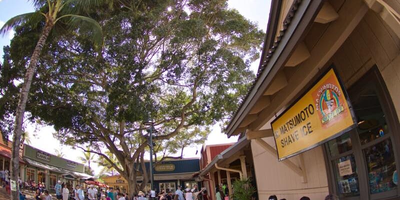 Your Weekend Guide to the North Shore of Oahu