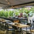 Featured Local Businesses: Ezogiku & 8 Fat Fat 8 Bar & Grille