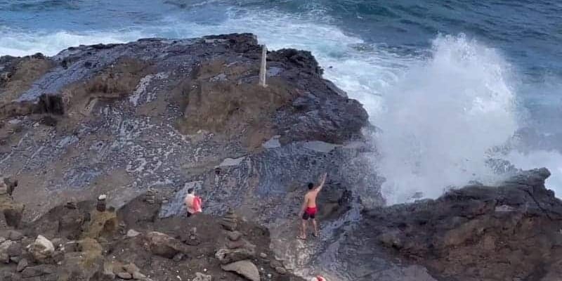Discover the Island of Oahu to the Fullest!  Tours on Land and Under the Sea to Consider
