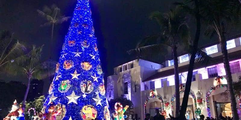Light Up Your Life with These Christmas Decorations Around Oahu