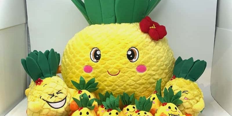 Take Home Hawaii Only Souvenirs