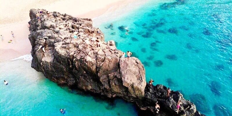 Taking a Tour around Oahu!