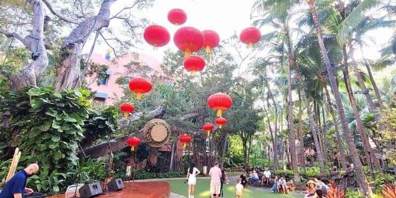 Kung Hei Fat Choy! Best Chinese Foods for Celebrating Lunar New Year